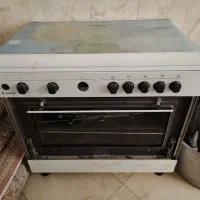 فرگاز روبینا با جوجه گردان