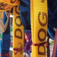 قلاده سگ|لوازم جانبی حیوانات|ارومیه, |دیوار