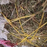 یونجه خرمنکوبی