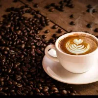 نیروی کار در کافه