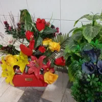 تعدادی گل خارجی