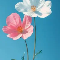 سرمایه گذار و شریک مالی