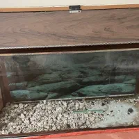 فروش اکواریوم سالم با وسایل کامل