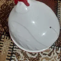 تخم مرغ پز برقی|اجاق گاز و لوازم برقی پخت‌وپز|بروجرد, |دیوار