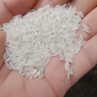 برنج