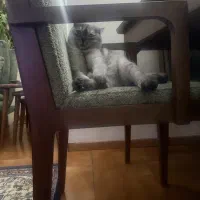 واگذاری رایگان