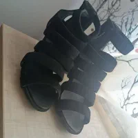کفش مجلسی