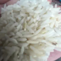 برنج ممتاز طارم