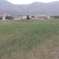 زمین دیم زار بر جاده ویست