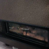 شومینه نیک کالا 28000سایزبزرگ