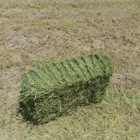 یونجه اعلاء چین چهارم|لوازم جانبی حیوانات|اصفهان, باغ فردوس|دیوار