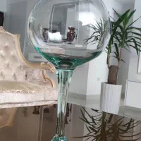 یک عدد تنگ ماهی پایه دار