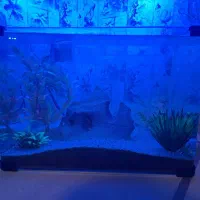 اکواریوم شیشه خم ۵۰×۳۰×۳۵