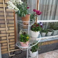 استند گلدان