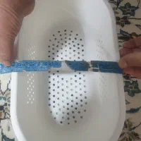 سبد|ظروف نگهدارنده، پلاستیکی، یکبارمصرف|مشهد, مصلی (کارمندان اول)|دیوار