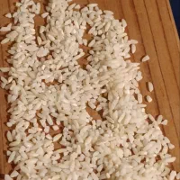 برنج محلی دورود