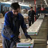 استخدام کارگر تولید رنگ در شهرک صنعتی اشتهارد