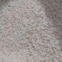 برنج دم سیاه دو بوجار خوش پخت و خوش عطر|خوردنی و آشامیدنی|گنبد کاووس, |دیوار