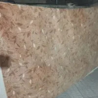 پالاز موکت