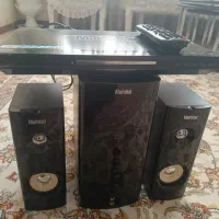 دی وی دی، باند، اسپیکر سالم مارک مارشال