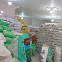 استخدام کمک حسابدار خانم