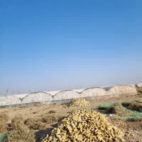 فروش زمین ۴۲۰ متری