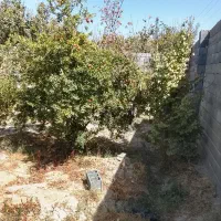 زمین باغی دیوار کشی شده سند قابل استعلام|فروش خانه و ویلا|اصفهان, آبشار|دیوار