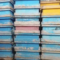 فروش کندو مربعی زنبور