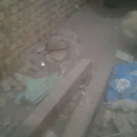 واگذاری سگ