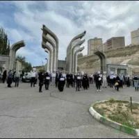 اخذ دیپلم تا دکتری