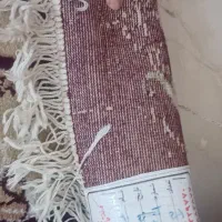 فرش ۶ متری زیر قیمت|فرش|فشم, |دیوار