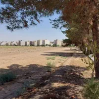فروش زمین در نزدیکی اتوبان|فروش زمین و ملک کلنگی|مسجد سلیمان, |دیوار