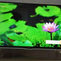 تلویزیون الجی