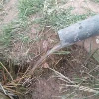 باغ انگور با حق آب ازچشمه شخصی|فروش دفتر صنعتی، کشاورزی، تجاری|ابهر, |دیوار