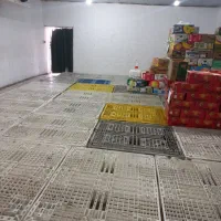 سردخانه  روزانه کارتنی پالتی خیابان تختی مولوی|اجارهٔ مغازه و غرفه|تهران, خانی‌آباد|دیوار