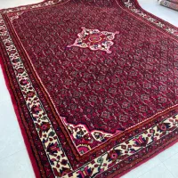 تک ۹ متری ازندریان گوشتدار و سالم تک