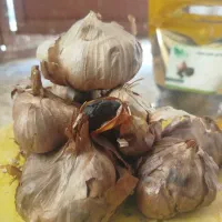 سیر سیاه همدان