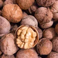 فروش گردو درجه یک امسال با بهترین کیفیت