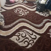 قالی ۱۲ متری|فرش|اهواز, گلستان|دیوار