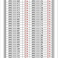 0992-100.900.4
