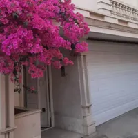 سوئیت نوساز همکف با حیاط در مرکز شهر