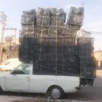 سبدمیوه. کارتن