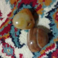 سلیمانی قدیمی