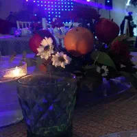 اجاره باغ دارای سالن با گرمایش|اجارهٔ کوتاهمدت ویلا و باغ|ساوه, |دیوار