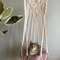 تاب گربه مکرومه واسکرچر ،لانه گربه مکرومه