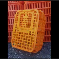 سبد حمل مرغ دست دوم