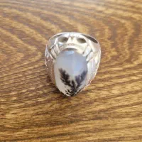 شجر تک درخت