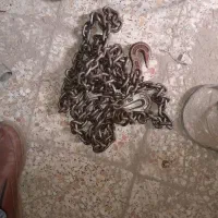 فروش ابزار و آچار|ابزارآلات|اهواز, اسلام آباد غربی|دیوار