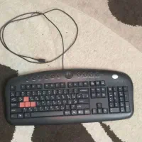 کامپیوتر|رایانه رومیزی|کیش, |دیوار