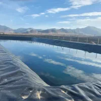 ورق استخر،ورق پلیمری استخر|خدمات پیشه و مهارت|فردوس (خراسان), |دیوار